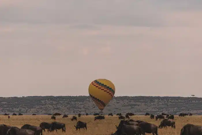 a hot air balloon in the sky of the wild safara of Tanzania