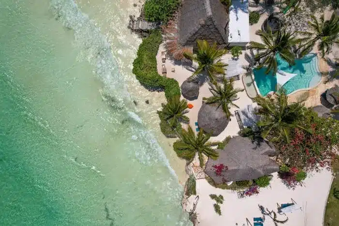 a  tanzania beach with palm trees and a pool 