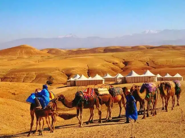 Experience Camel Riding in the Agafay Desert