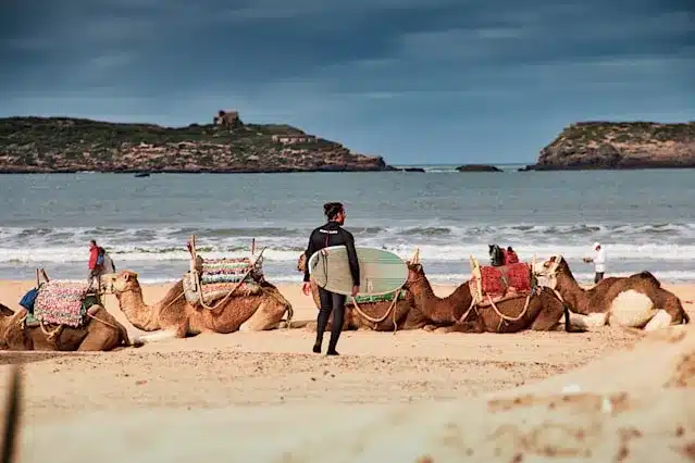 Outdoor Activities in Morocco such as Surfing and Camel Riding in Moroco
