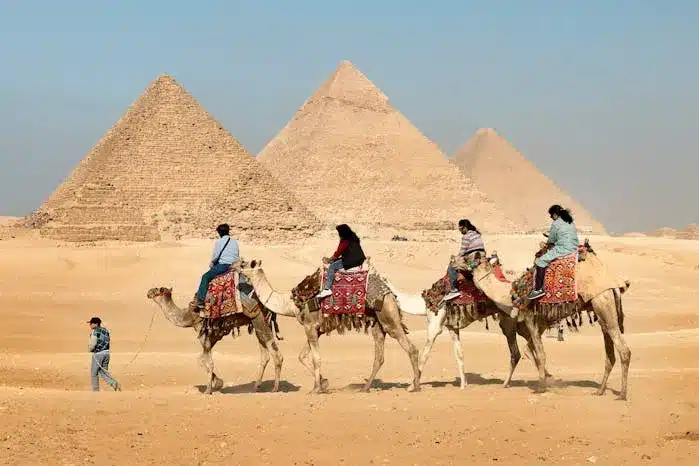 A Group of Tourists Riding Camels in front of the The Pyramids of Giza